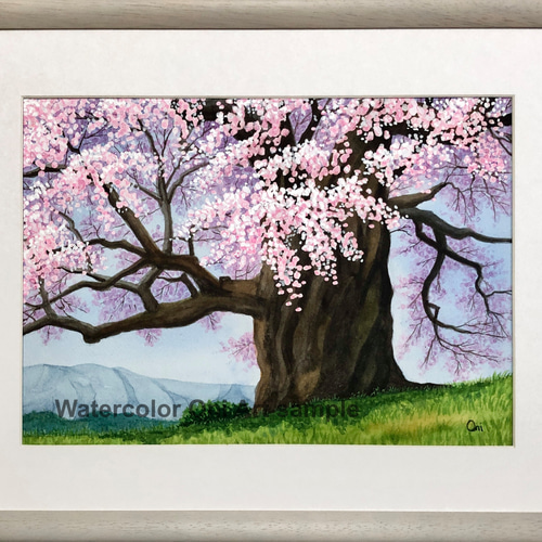 醍醐の桜03」透明水彩画 原画 風景画 額縁付 F4サイズ 絵画 Oni 通販