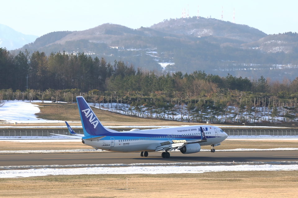 全日空 Boeing 737-800 JA58AN 庄内空港 航空フォト | by トリトン