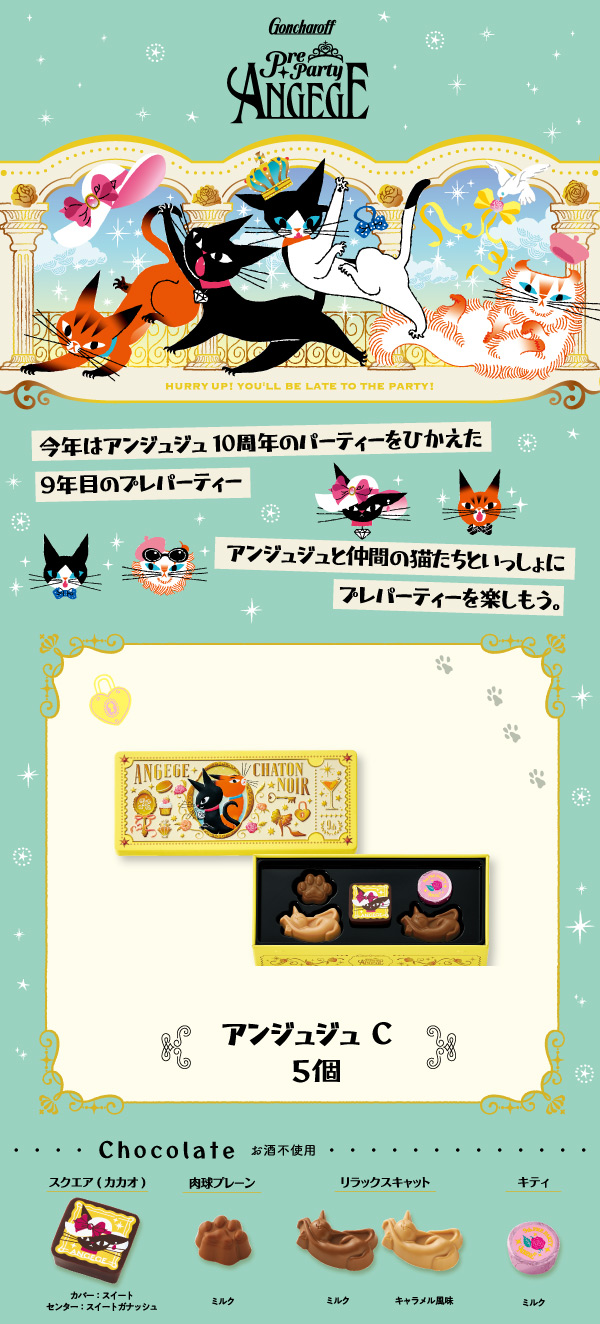 503 アンジュジュ C 5個 ゴンチャロフ アンジュジュ チョコレート