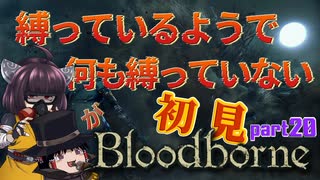 アニメ Aster Complete Tracks Plus Amazon.co.jp: Aster Complete