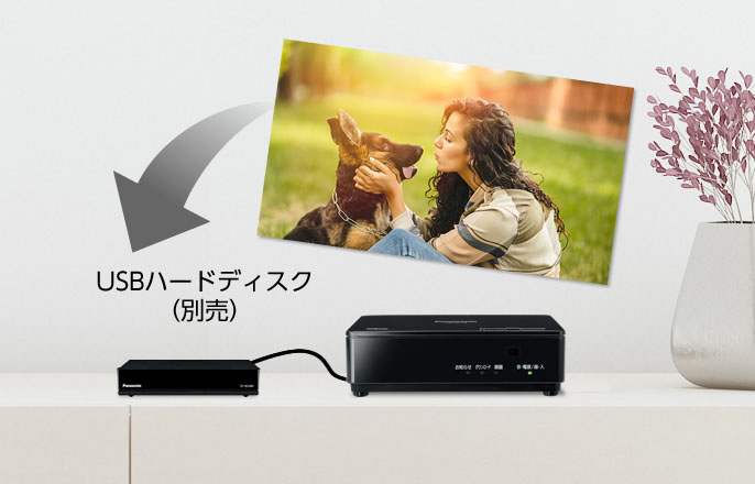 プライベート・ビエラ 公式店 パナソニック ポータブルテレビ UN-10E11