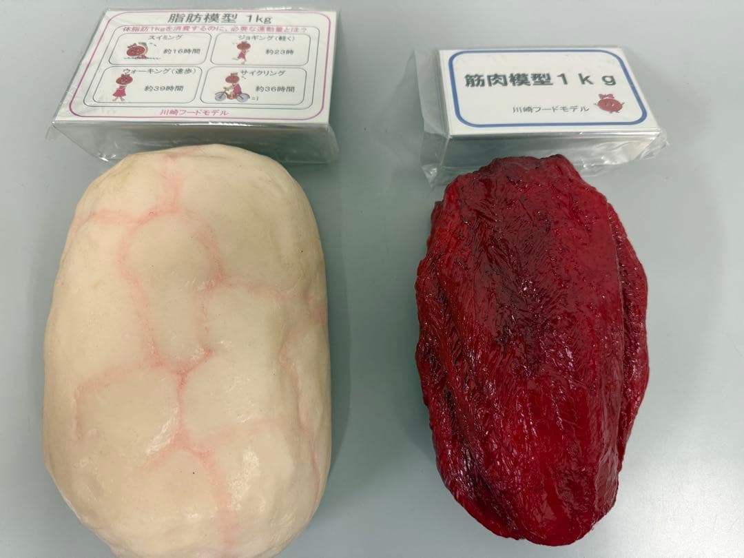 【未使用】川崎フードモデル 脂肪・筋肉模型 1kgセット り*ん様 筋肉模型 脂肪模型 1kg 川崎フードモデル - メルカリ