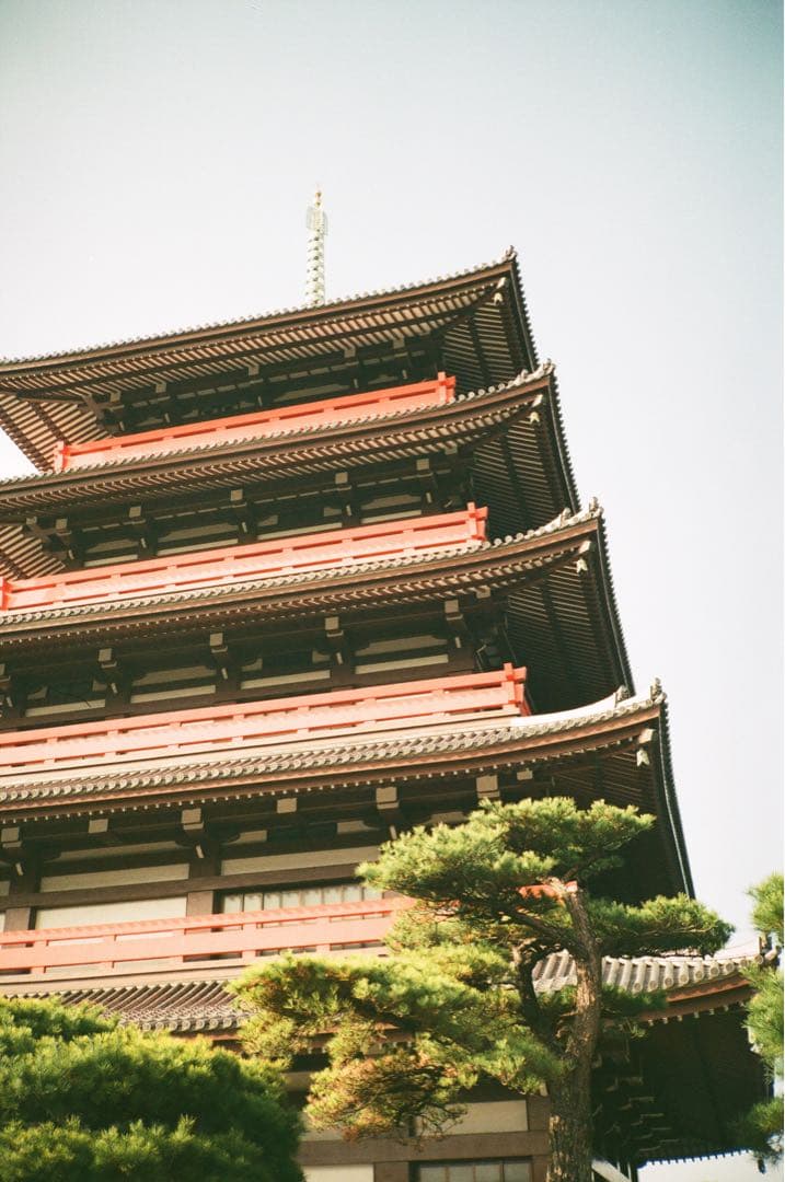 コンタックス CONTAX T2 コンパクトフィルムカメラ